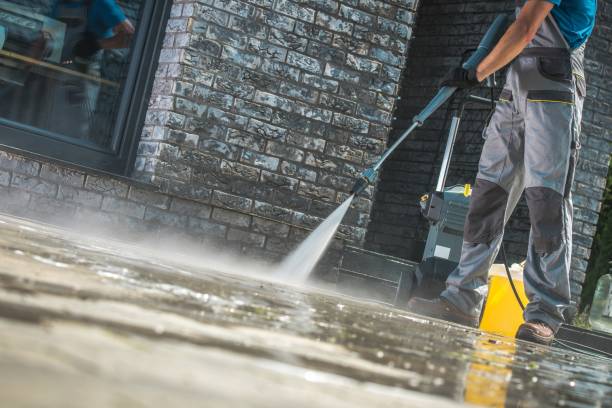 Best Window and Screen Pressure Cleaning in Leakesville, MS