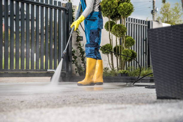Best Vinyl Siding Pressure Washing in Leakesville, MS